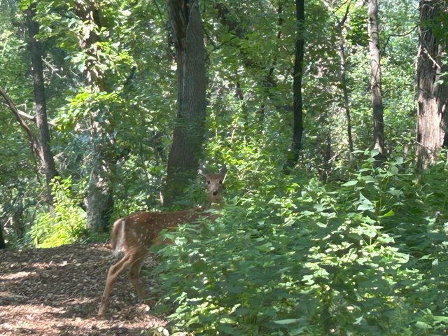 1601 N Innsbruck Drive 329, Fridley, MN 55432