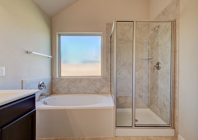 217 Baldwin Drive, Fate, TX 75189