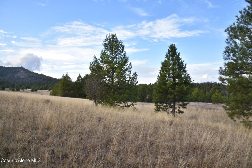 NKA Tyson Creek Rd, Santa, ID 83866 photo 13