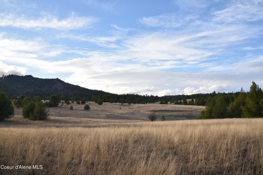 NKA Tyson Creek Rd, Santa, ID 83866 photo 14