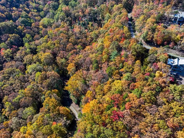 Lot 46 Utana Bluffs Trail, Ellijay, GA 30540