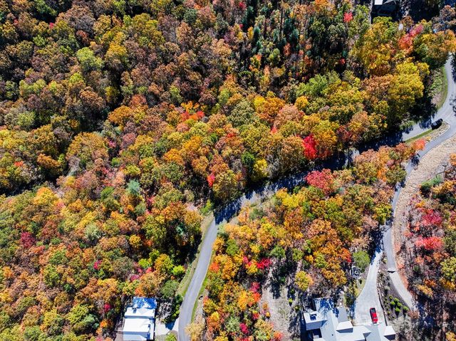 Lot 46 Utana Bluffs Trail, Ellijay, GA 30540