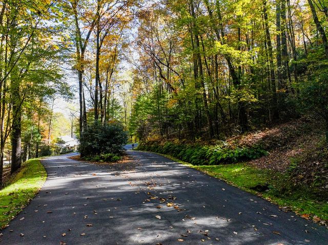 Lot 46 Utana Bluffs Trail, Ellijay, GA 30540