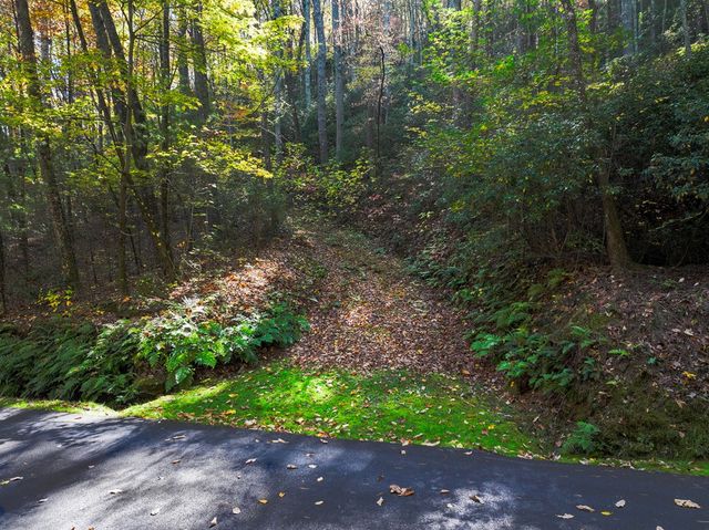 Lot 46 Utana Bluffs Trail, Ellijay, GA 30540