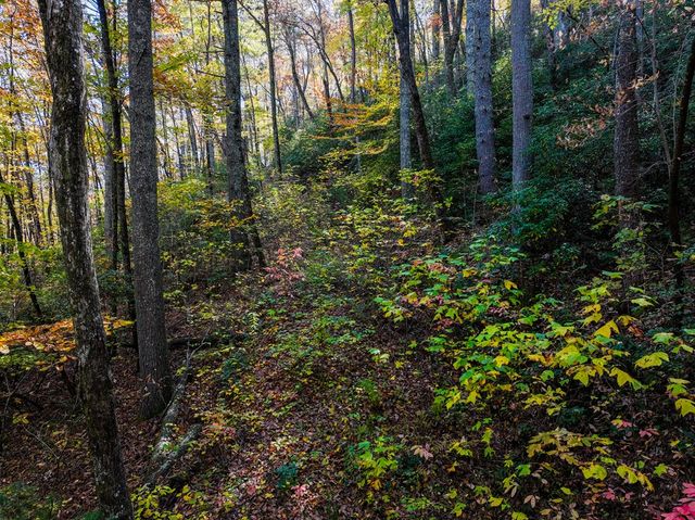Lot 46 Utana Bluffs Trail, Ellijay, GA 30540
