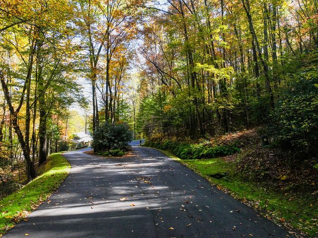 Lot 46 Utana Bluffs Trail, Ellijay, GA 30540