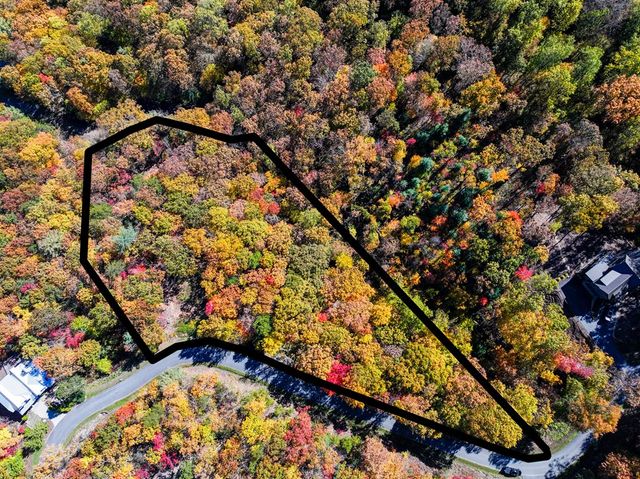 Lot 46 Utana Bluffs Trail, Ellijay, GA 30540