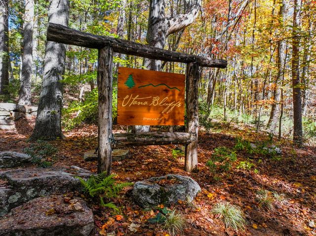 Lot 46 Utana Bluffs Trail, Ellijay, GA 30540