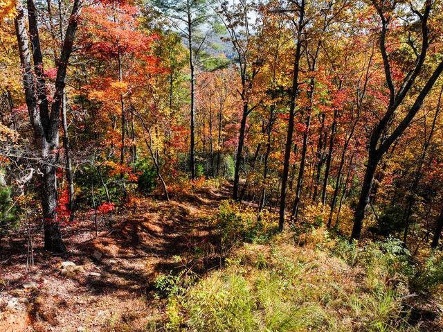Lot 46 Utana Bluffs Trail, Ellijay, GA 30540