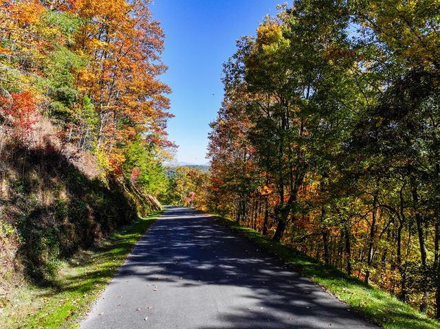 Lot 46 Utana Bluffs Trail, Ellijay, GA 30540