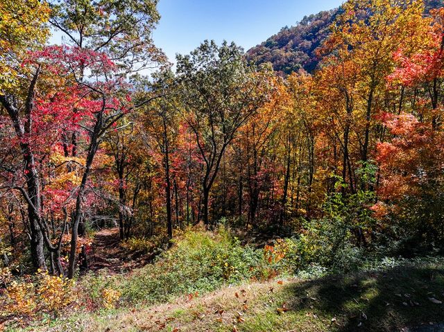Lot 46 Utana Bluffs Trail, Ellijay, GA 30540
