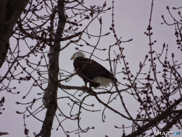 241 South Water Street 14, East Windsor, CT 06088