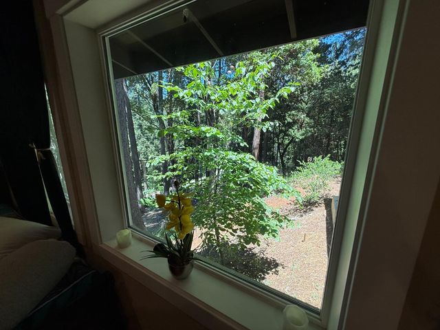 23445 Robin Road, Pioneer, CA 95666
