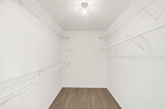 4202 Boone Road, Houston, TX 77072