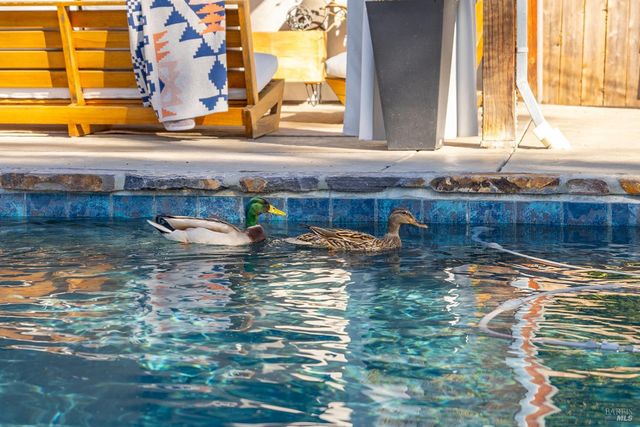 5846 Monte Verde Dr, Santa Rosa, CA 95409