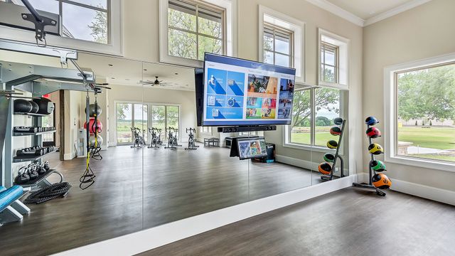 2921 Genuine Risk Court, Celina, TX 75009