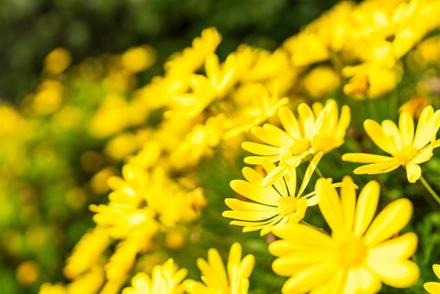 2059 Westbrook Ln, Livermore, CA 94550