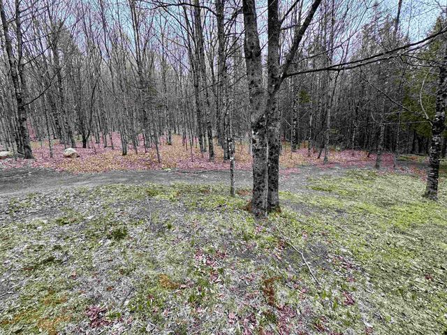 59 Shady Brook Lane, Orange, VT 05641