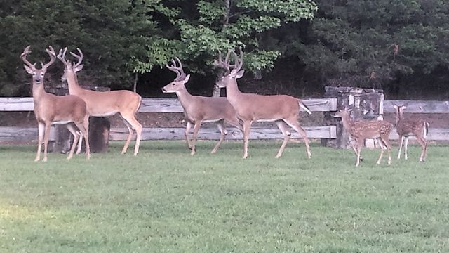 745 October Drive, Smithville, TN 37166