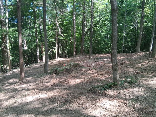 745 October Drive, Smithville, TN 37166