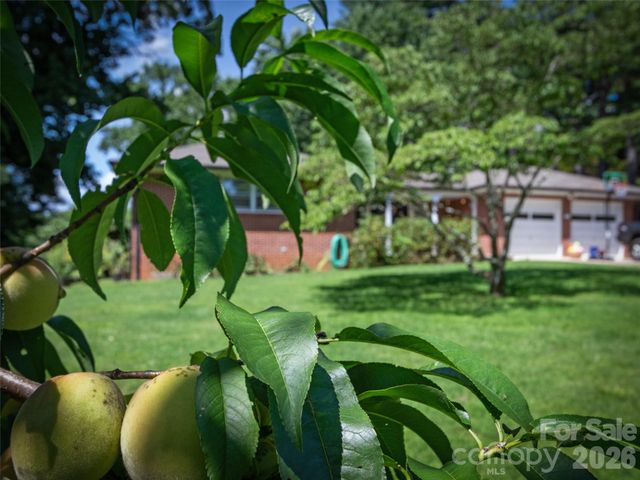 38 Crowell Road, Asheville, NC 28806