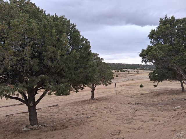 465 Ute Dr, Walsenburg, CO 81089