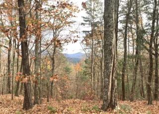 Lot 17 Abbott Mill Road, Ellijay, GA 30540