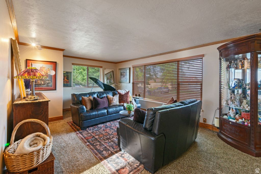 596 N 30 W, American Fork, UT 84003 — exterior