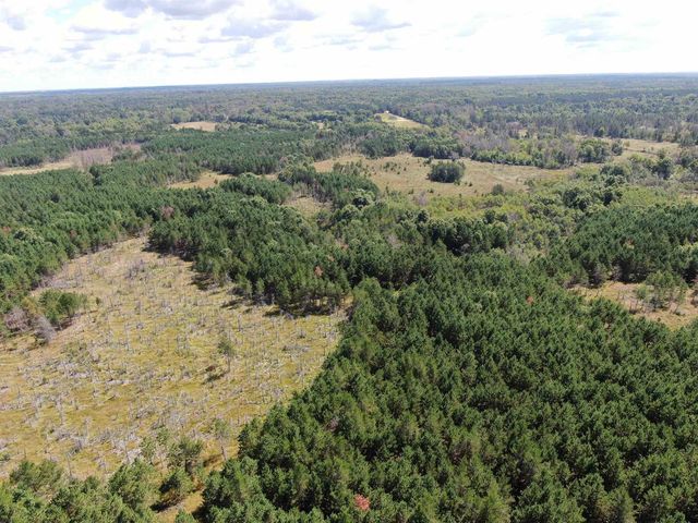 80 AC 13th Ct Acres, Nekoosa, WI 54457