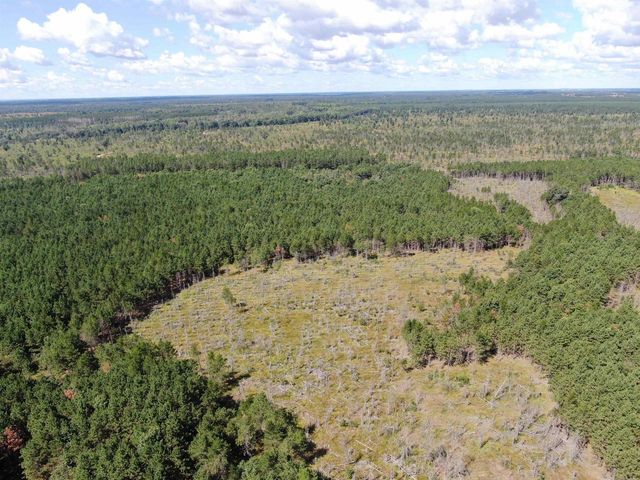 80 AC 13th Ct Acres, Nekoosa, WI 54457