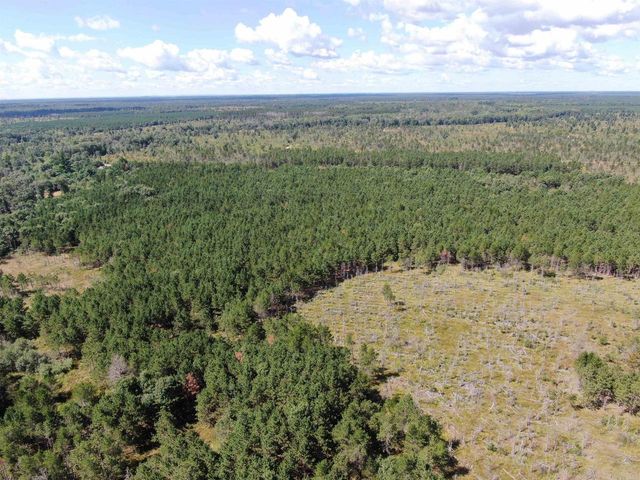 80 AC 13th Ct Acres, Nekoosa, WI 54457