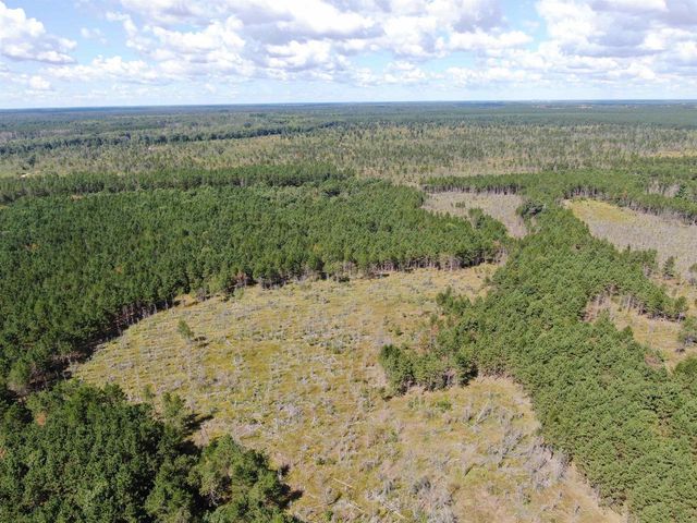 80 AC 13th Ct Acres, Nekoosa, WI 54457