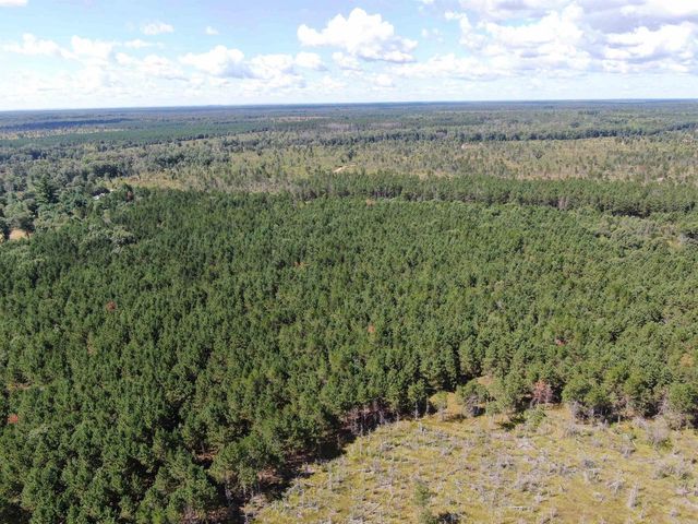 80 AC 13th Ct Acres, Nekoosa, WI 54457