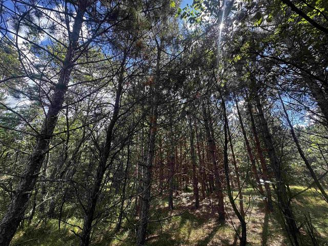 80 AC 13th Ct Acres, Nekoosa, WI 54457