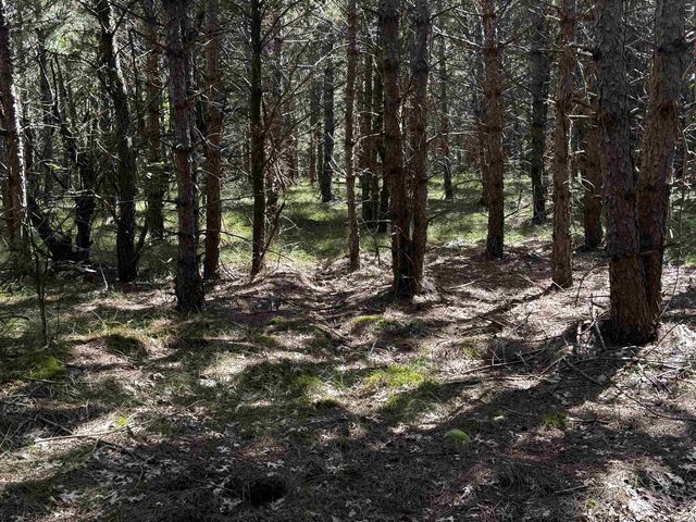 80 AC 13th Ct Acres, Nekoosa, WI 54457