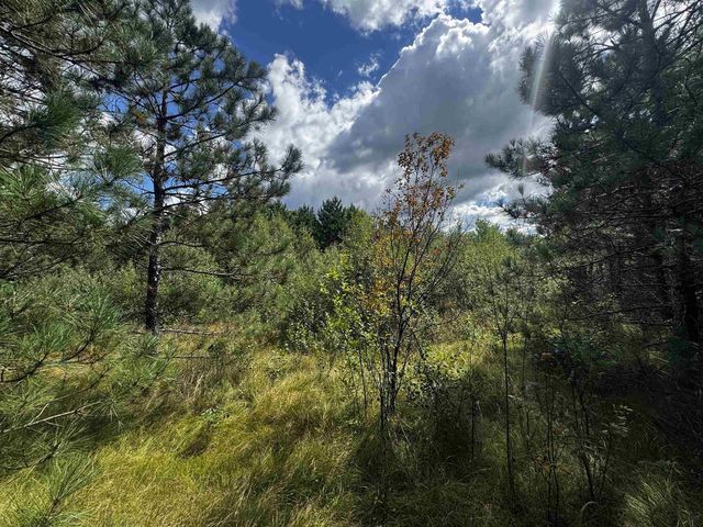 80 AC 13th Ct Acres, Nekoosa, WI 54457