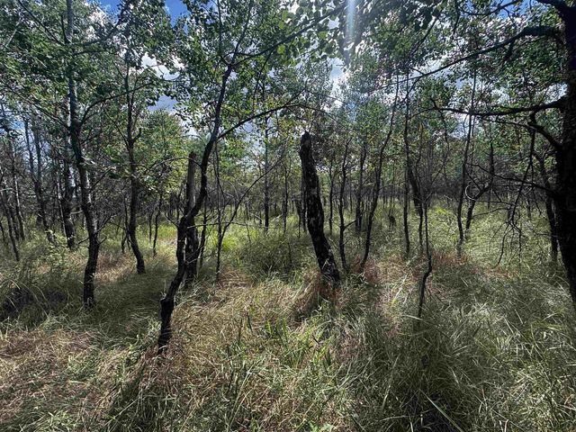 80 AC 13th Ct Acres, Nekoosa, WI 54457