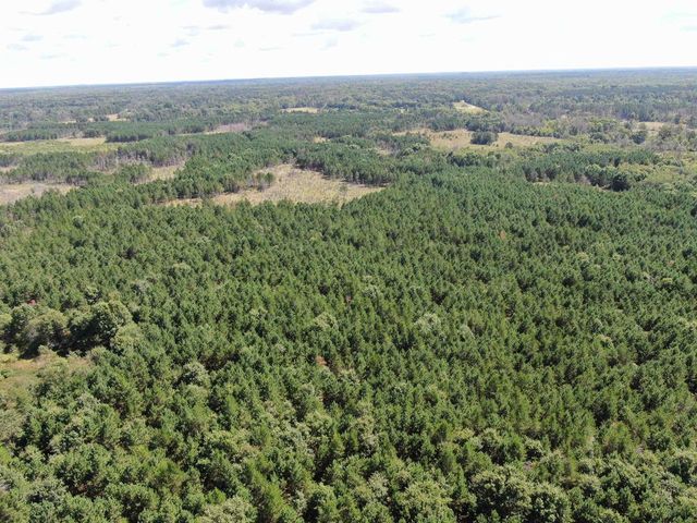 80 AC 13th Ct Acres, Nekoosa, WI 54457