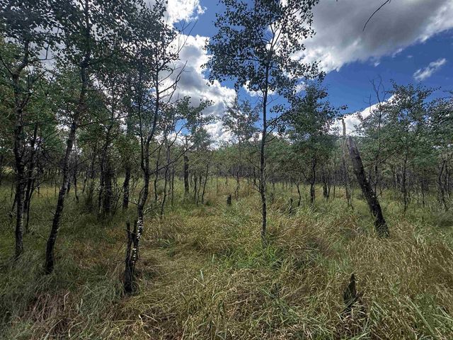 80 AC 13th Ct Acres, Nekoosa, WI 54457