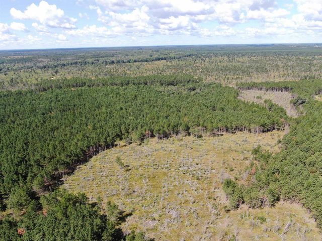 80 AC 13th Ct Acres, Nekoosa, WI 54457