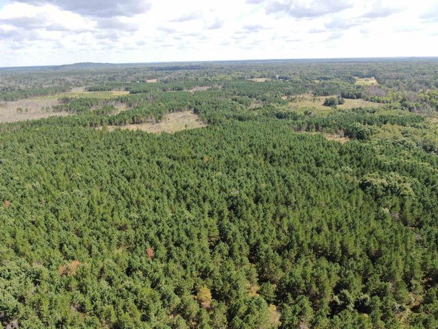 80 AC 13th Ct Acres, Nekoosa, WI 54457