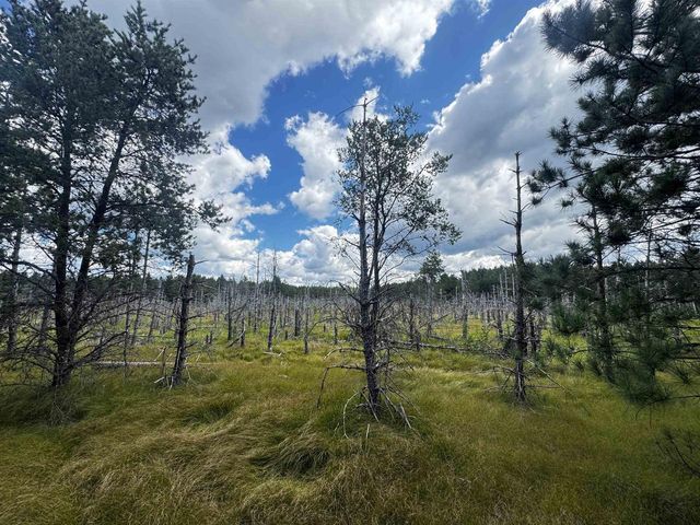 80 AC 13th Ct Acres, Nekoosa, WI 54457