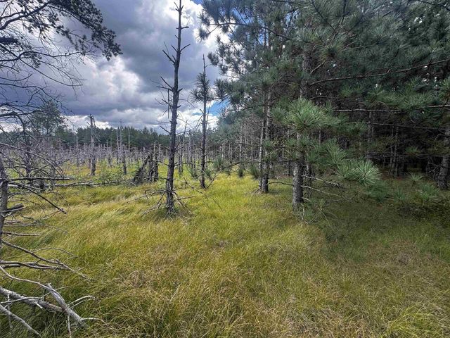 80 AC 13th Ct Acres, Nekoosa, WI 54457