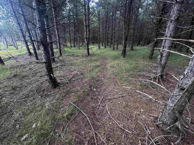 80 AC 13th Ct Acres, Nekoosa, WI 54457