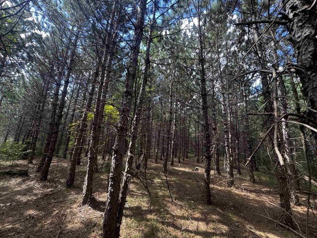 80 AC 13th Ct Acres, Nekoosa, WI 54457