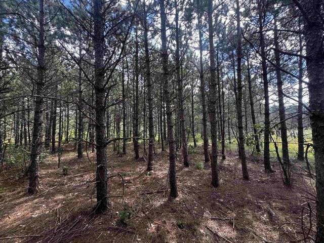 80 AC 13th Ct Acres, Nekoosa, WI 54457