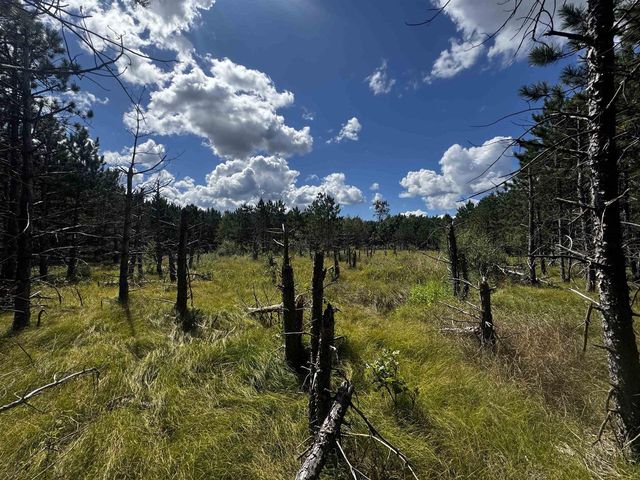 80 AC 13th Ct Acres, Nekoosa, WI 54457