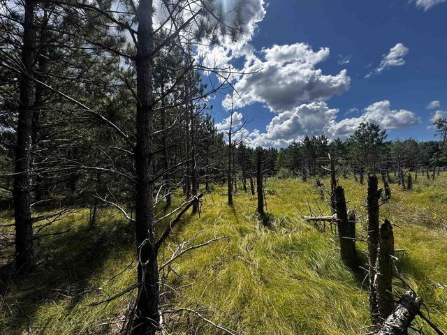 80 AC 13th Ct Acres, Nekoosa, WI 54457