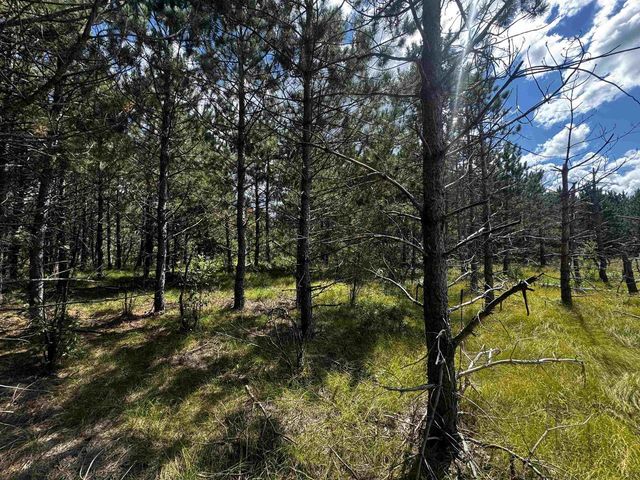 80 AC 13th Ct Acres, Nekoosa, WI 54457