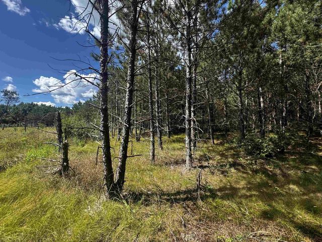 80 AC 13th Ct Acres, Nekoosa, WI 54457